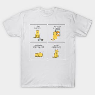 Paws for thoughts T-Shirt